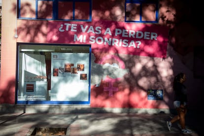 Un cartel que dice "?Te vas a perder mi sonrisa?", teros de plstico e imgenes de fetos en el exterior del refugio de Provida.