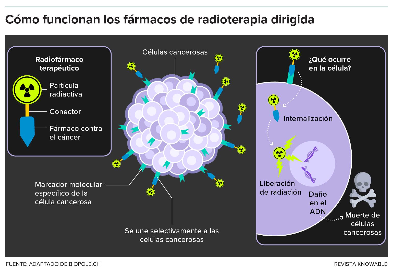 Este gráfico describe los conceptos básicos de los radiofármacos.