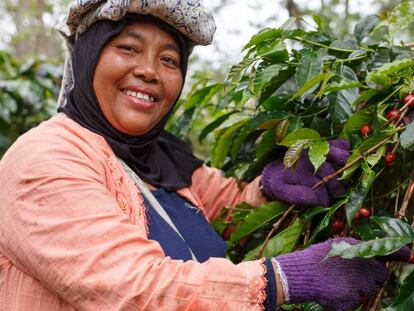 Este fin de semana se celebra la mayor fiesta del comercio justo jam&aacute;s vista