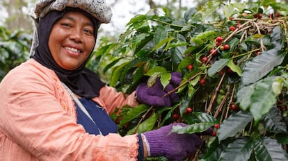 Este fin de semana se celebra la mayor fiesta del comercio justo jam&aacute;s vista