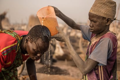 Los niños sudaneses de la tribu Dinka usan orina de vaca para lavarse el pelo en su campamento de ganado en Mingkaman, en el estado de Lagos (Sudán del Sur).