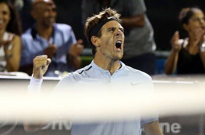 Del Potro festeja la victoria ante David Ferrer.