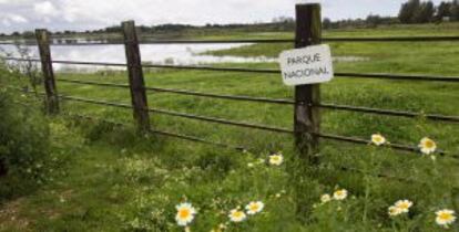 Doñana es Patrimonio de la Humanidad.