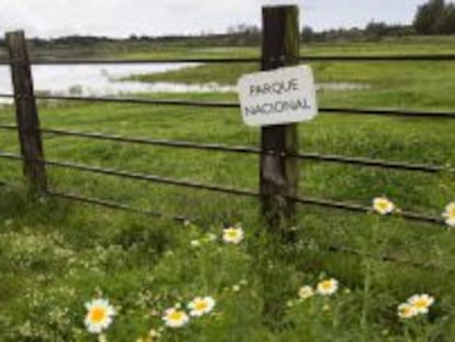 Doñana es Patrimonio de la Humanidad.