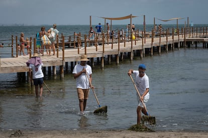 Retirada de biomasa frente al balneario de Los Urrutias, en el Mar menor, para prevenir la eutrofización del agua.