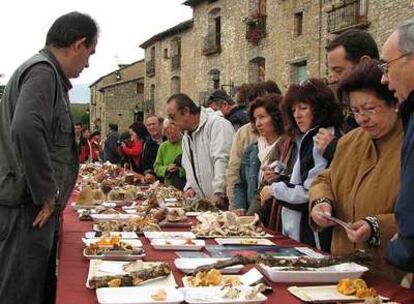 Las Jornadas Micológicas de Aínsa (Huesca), que este año se celebran del 19 al 21 de octubre y el 9 de noviembre.