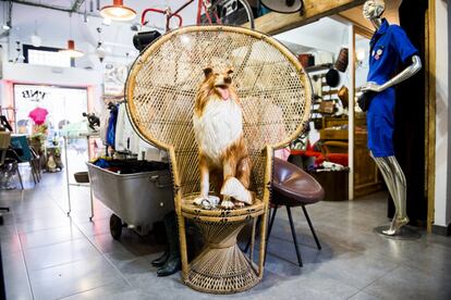 Lo vintage tiene nombre propio en el Raval: muebles, ropa, objetos de decoración procedentes de Estados Unidos, Gran Bretaña, Bélgica y los antiguos países del Este. Esta tienda es un gran bazar repleto de sorpresas en el que lo divertido es husmear. Ramalleres, 17. Teléfono: +34 933 01 99 09.