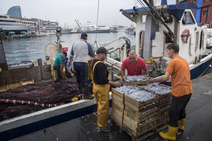 Los pescadores del Topacio descargan cajas de boquerón.