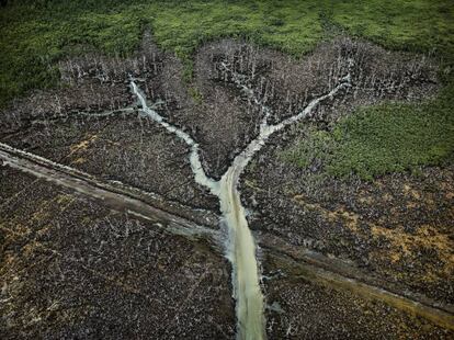 Vertido de petróleo. Delta del Níger, Nigeria, 2016