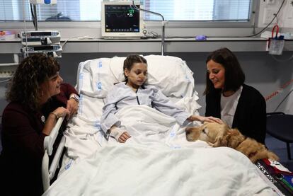 Inés, de 12 años, recibe la visita del perro Zenit en el Hospital 12 de Octubre.