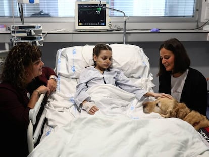 Inés, de 12 años, recibe la visita del perro Zenit en el Hospital 12 de Octubre.