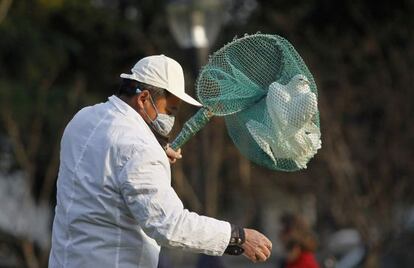 Un operario recoge palomas en Shanghái.