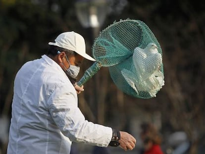 Un operario recoge palomas en Shangh&aacute;i.