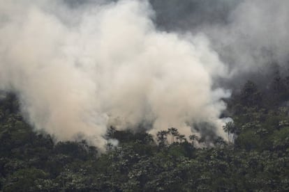 Un incendio cerca de Porto Velho, Brasil.