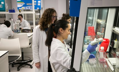 Varios estudiantes hacen pruebas en el laboratorio en la Facultad de Farmacia del CEU en Montepríncipe (Boadilla del Monte, Madrid).