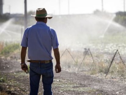 Un agricultor en uno de los regad&iacute;os de la zona de Nueva Jarilla, en Jerez. 