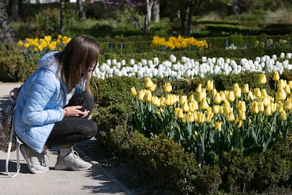 Una visitante del Jardín Botánico, admirando los tulipanes.