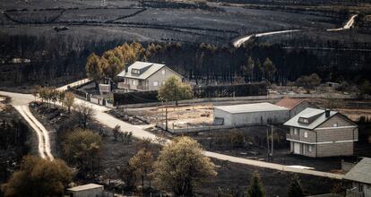 Zona afectada por los incendios en Cualedro (Ourense).