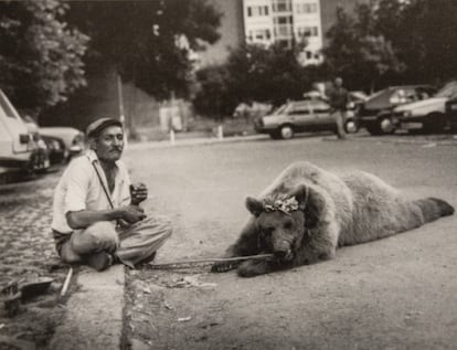 El adiestrador búlgaro Grigori Mirchev, con su osa 'Valentina'.