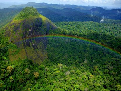 Vista do parque Nacional Montanhas do Tumucumaque, no Amapá.