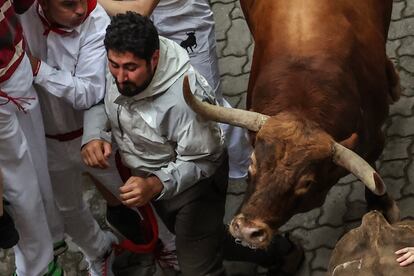 Un toro de la ganadería de Núñez del Cuvillo en el tramo posterior a la Cuesta de Santo Domingo.