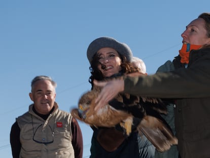 La presidenta de la Comunidad de Madrid, Isabel Díaz Ayuso (en el centro), suelta un ejemplar de águila imperial, este lunes, en San Sebastián de los Reyes.