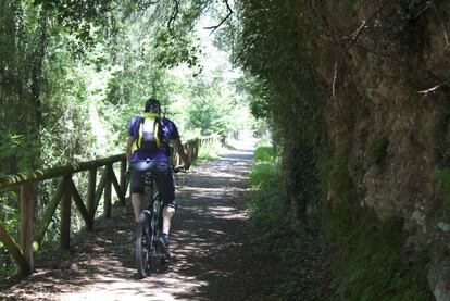 Un ciclista se adentra en la Senda del Oso