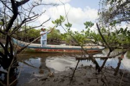 Fotografía del miembro de comunidad de descendientes de esclavos negros de Mandira, Chico Mandira, navegando para trabajar en el cultivo de ostras en el manglar ubicado entre la desembocadura del Río Ribeira de Iguapé y el Océano Atlántico, en la ciudad litoral de Cananéia en el estado de Sao Paulo (Brasil).