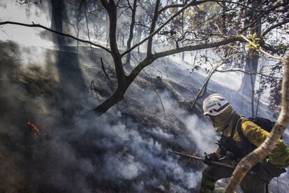 En Redondela, vecinos de Vilar de Infesta, un enclave cercano al lugar donde se declaró el fuego, han hallado un posible ingenio incendiario todavía sin prender: un montón de hojas y ramas secas, papeles y un cacharro de hojalata en medio, dispuestos sobre un palé. En la imagen, una gente forestal intenta apagar el incendio, el 10 de agosto.