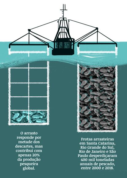 infografia o eco