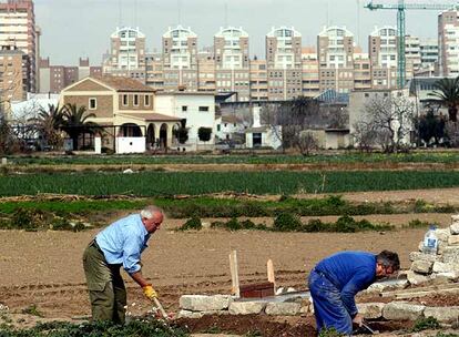 Dos agricultores trabajan en la huerta al sur de la ciudad de Valencia.