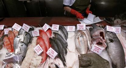 Puesto de venta de pescado en un mercado.
