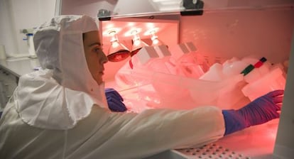 Una investigadora en la Universidad del País Vasco.