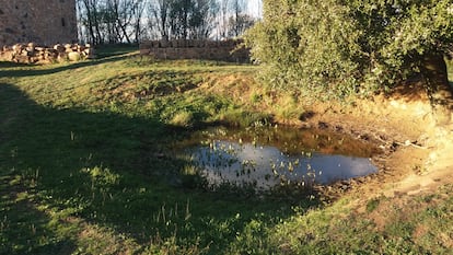 La charca de las salamandras, en Viladrau.