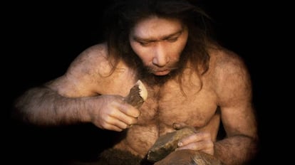 Reconstrucción de un 'Homo neanderthalensis'. 