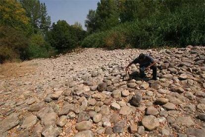 Un hombre observa el sendero de cantos rodados en que se ha convertido el río Jarama.