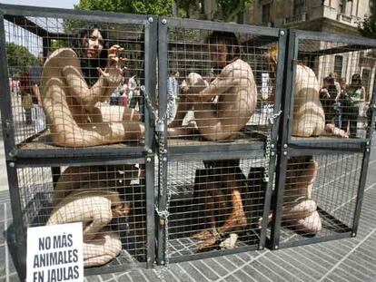 Los siete jóvenes, desnudos y enjaulados ayer en la Rambla de Barcelona.
