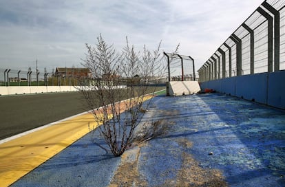 Labandonament envaeix el circuit de F-1 de Valncia, una de les joies de lpoca del malbaratament del Govern del PP.