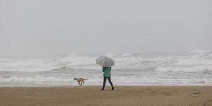 Una mujer pasea con su perro bajo la lluvia en Gandia (Valencia). 