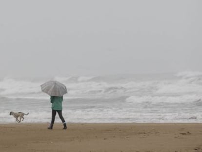 Una mujer pasea con su perro bajo la lluvia en Gandia (Valencia). 