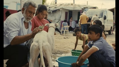 Imagen de 'Ciudad sin sueño'.