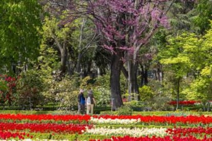 Dos visitantes en el Jardín Botánico de Madrid.