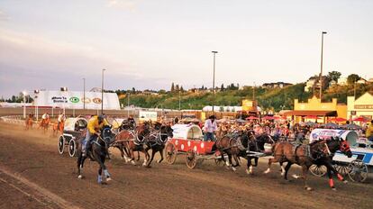 Carrera de carretas en la Calgary Stampede.