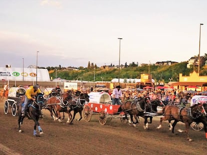 Carrera de carretas en la Calgary Stampede.