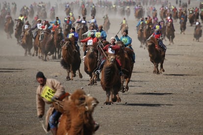 Concursantes durante una carrera del Festival de Camellos celebrado en Dalanzadgad (Mongolia).