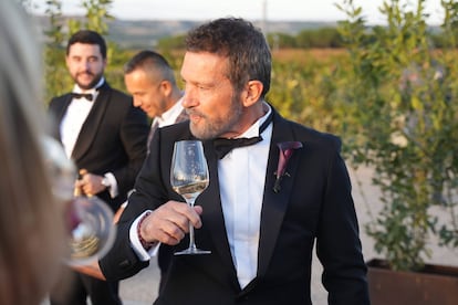 Boda Stella Banderas en Valladolid