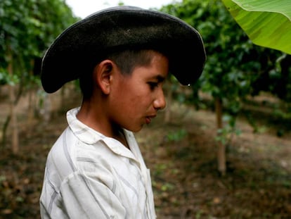 Un joven en una explotaci&oacute;n de fruta de la pasi&oacute;n en Colombia.