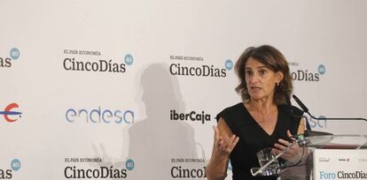 Teresa Ribera, vicepresidenta cuarta y ministra para la Transición Ecológica.