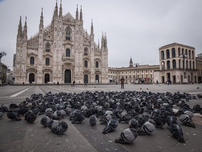 Decenas de palomas se amontonan en la desértica plaza del Duomo, donde se encuentra la catedral de Milán (Italia), el 9 de marzo.