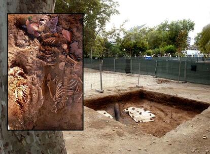 Restos humanos encontrados en las excavaciones de  las obras del TRAM.